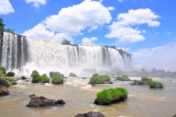 Brazilian Falls, Bird Park and Itaipu Dam from Foz do Iguaçu - Parque das Aves, More Than a Quick Add-On