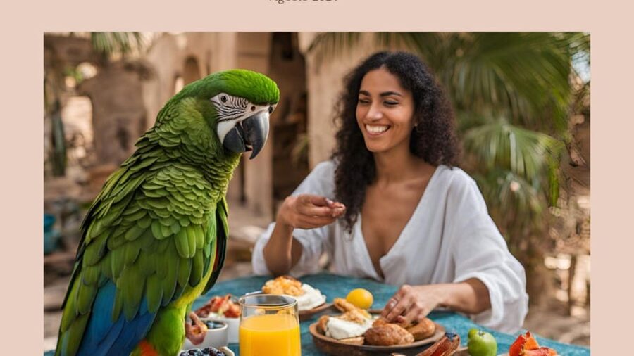 Breakfast with parrots at Masseria Mazzetta with wildlife park - Key points to know before you go