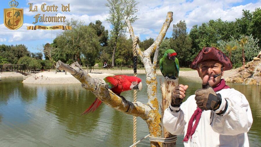 Breakfast with parrots at Masseria Mazzetta with wildlife park - Breakfast beside parrots in Salice Salentino
