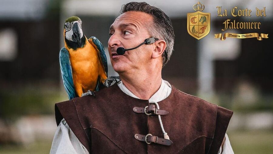 Breakfast with parrots at Masseria Mazzetta with wildlife park - Walking among the aviaries