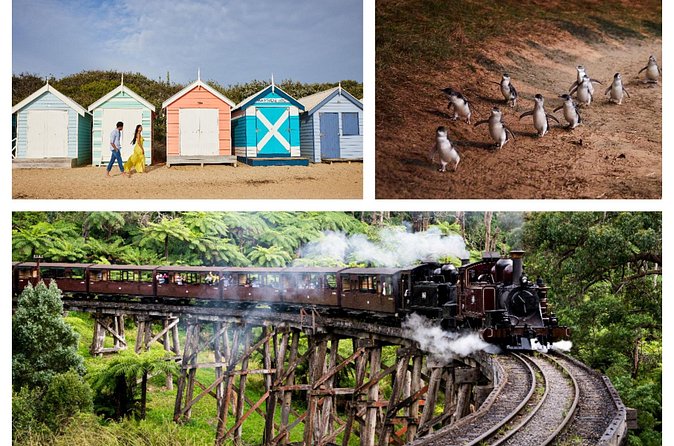 Brighton Bath Boxes & Puffing Billy & Penguin Parade 1-Day Tour - Commentary, vehicles, and group size