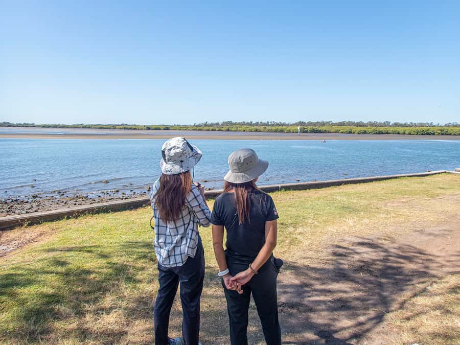 Brisbane: Kangaroos, Birds and Mangroves Coastal Tour - What to bring for six hours outside