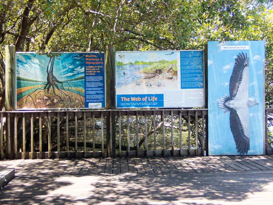 Brisbane: Kangaroos, Birds and Mangroves Coastal Tour - Crossing Houghton Highway toward the Glasshouse Mountains