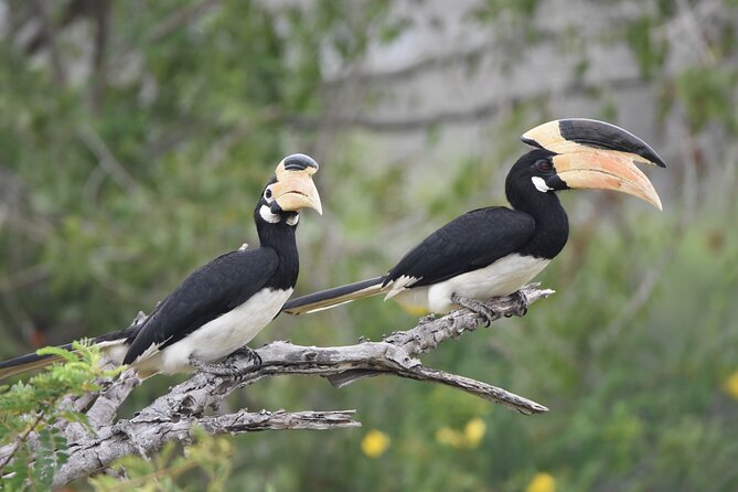 Bundala Birding Paradise - All Inclusive Tour - Hotel pickup and the practical details