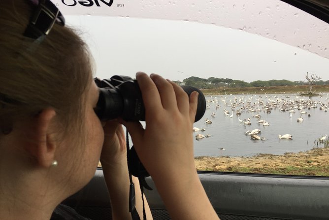Bundala Birds Safari by Jeeps - Why Bundala is worth your time near Hambantota