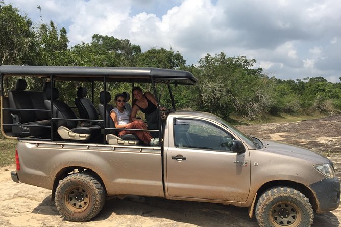 Bundala Birds Safari by Jeeps - Timing, pickup, and practical planning
