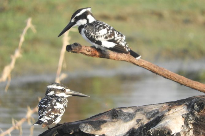 Bundala National Park Birds Watching Safari Tour - Stop 1: Kamal Safari Bundala Park