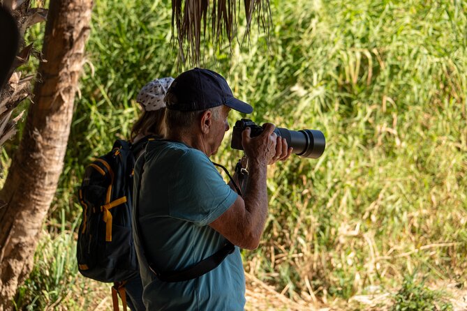 Cabo birding | Bird watching at bird sanctuary - Dario’s guidance and the value of a six-person group