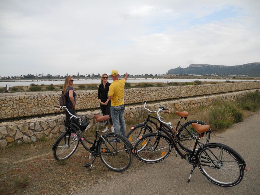 Cagliari: Bike Tour in the Flamingo Oasis - Key points to know before you book