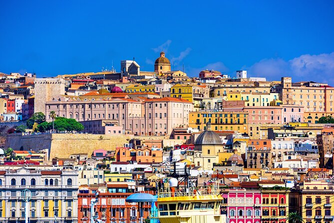 Cagliari city tour and flamingo park by minivan and on foot - Key points at a glance