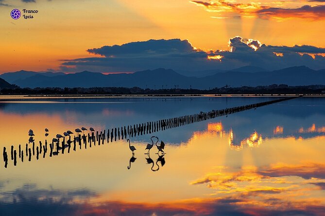 Cagliari city tour and flamingo park by minivan and on foot - Walking through Castello for 90 minutes