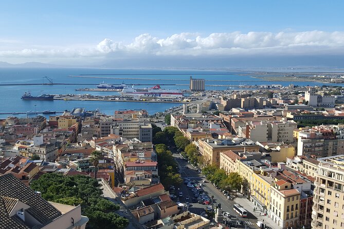 Cagliari city tour and flamingo park by minivan and on foot - What the guides add