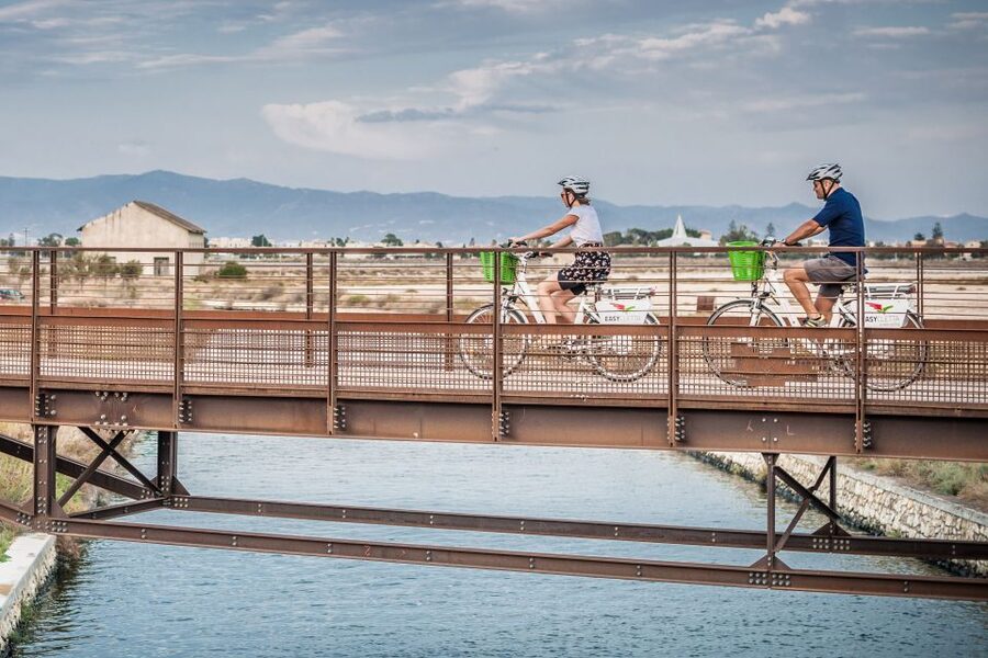 Cagliari E-Bike Tour: Canals & Flamingos at Molentargius - Key points