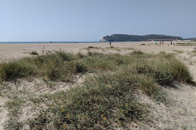 Cagliari E-Bike Tour: Gulf, Canals & Flamingos at Molentargius - Birdwatching with a little room to look around