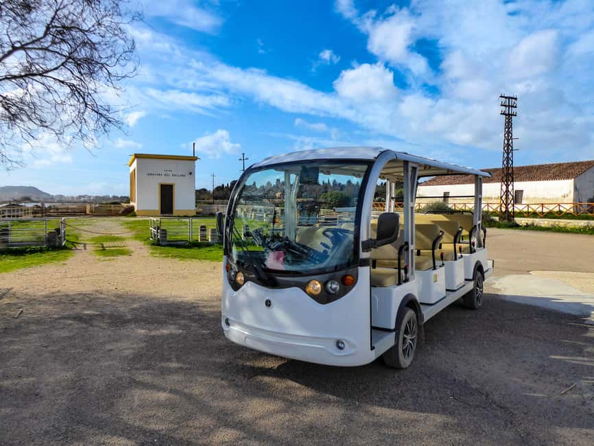Cagliari: EcoSafari Flamingos Tour in Molentargius Park - Key points to know before booking