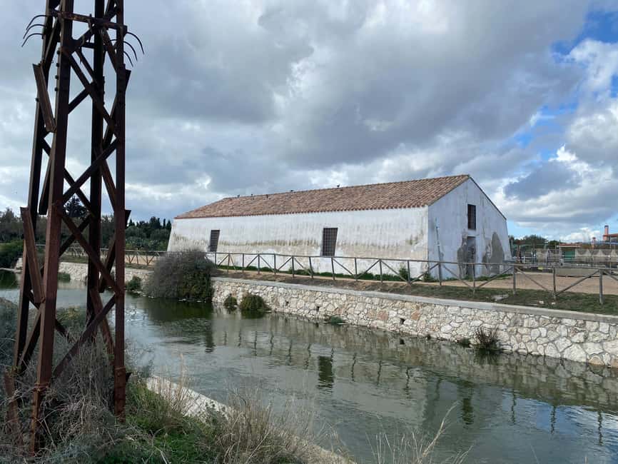 Cagliari: EcoSafari Flamingos Tour in Molentargius Park - Following the old Salt Route