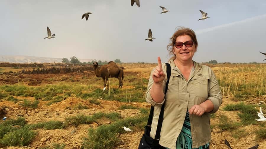 Cairo: Wadi El Ryan Fayoum Oasis &Bird Watching Private Tour - Key points to know before you book