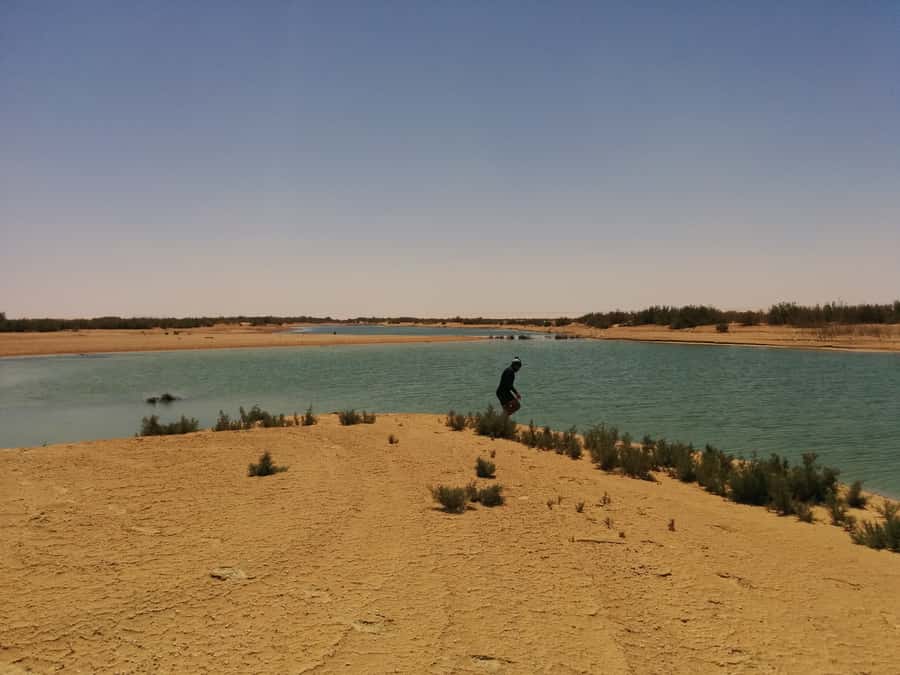 Cairo: Wadi El Ryan Fayoum Oasis &Bird Watching Private Tour - Is $121 good value for a private day?