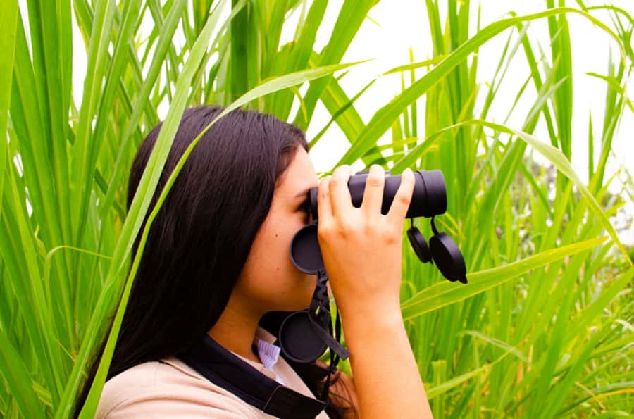 Cali: Birdwatching in la Cumbre - Key points to know before booking