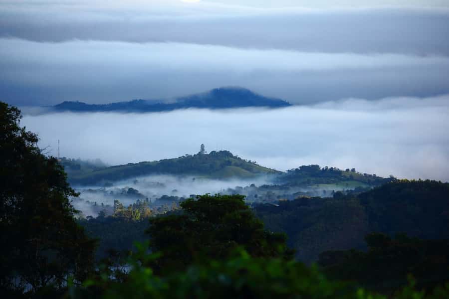 Cali: Birdwatching in la Cumbre - Why this birdwatching trip is different from a city tour