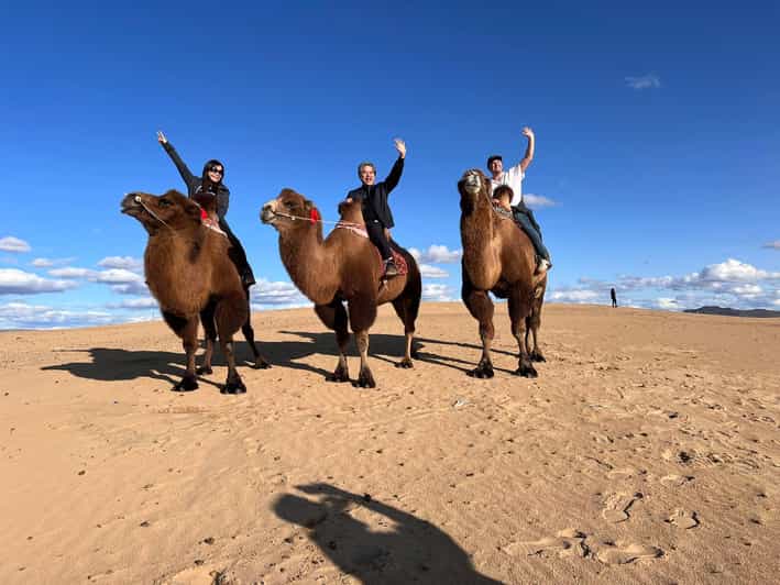 Camel Trails and Bird Tales: Discovering Elsen Tasarkhai - Camels, dunes, and the feel of the Semi Gobi