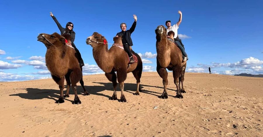 Camel Trails and Bird Tales: Discovering Elsen Tasarkhai - The nomadic family visit