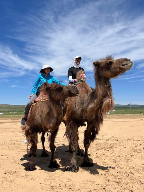 Camel Trails and Bird Tales: Discovering Elsen Tasarkhai - Leaving Ulaanbaatar at 8:00 AM