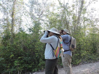 Guided Birdwatching Hike
