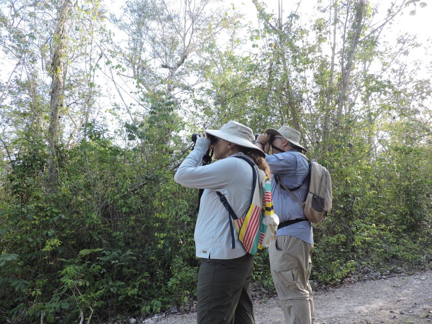 Cancún: Guided Birdwatching Hike - Practical Tips for a Better Birding Day