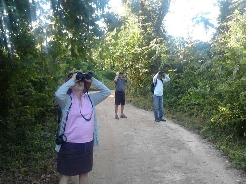 Cancun: Private Birdwatching Tour - A local breakfast stop after the forest