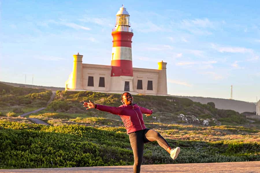 Cape Agulhas, Hermanus & Stoney point Penguins full Day Tour - Hemel en Aarde wine with a sea breeze