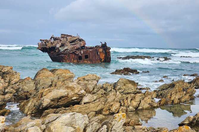 Cape Agulhas, Hermanus Whale Watching, Penguins and Wine Tasting - Hermanus for whales, lunch and cliff walking