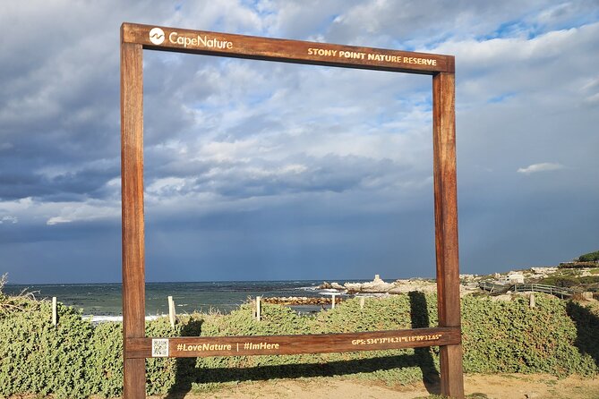 Cape Agulhas, Hermanus Whale Watching, Penguins and Wine Tasting - Stony Point and its penguin colony