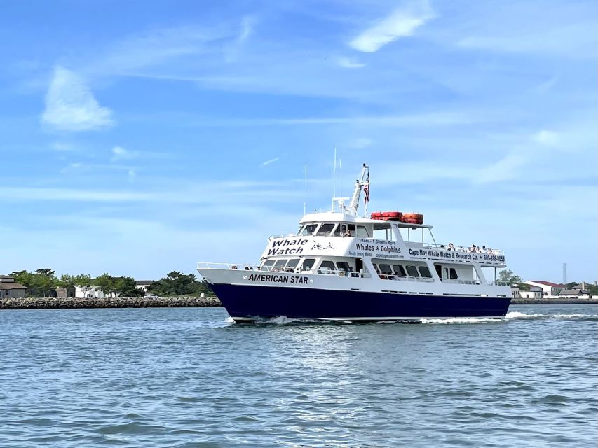 Cape May: Dolphin and Bird Watching Cruise - An Unexpected Look at Horseshoe Crabs