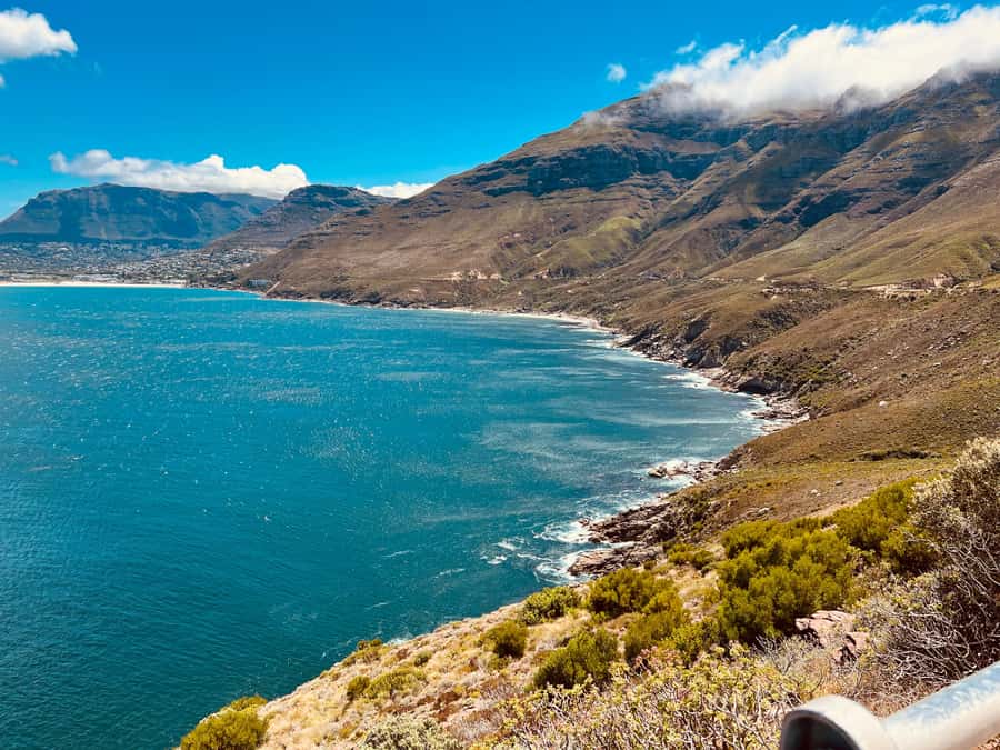 Cape of Good Hope and Penguins Full-Day Private Tour - Lunch in Simon’s Town, with time to reset