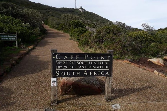 Cape of Good Hope and Penguins - Small Group - Full day - Why this Cape Town day trip works