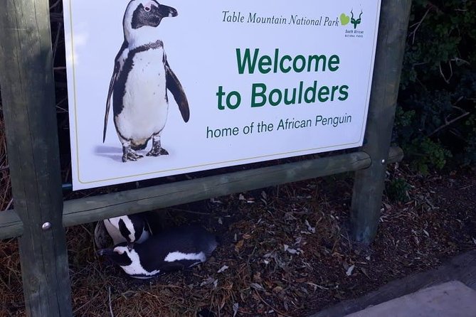 Cape of Good Hope and Penguins - Small Group - Full day - Hout Bay adds an optional seal-spotting choice