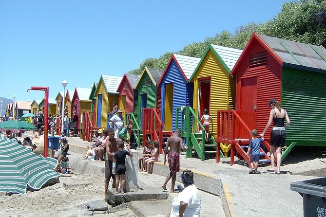 Cape Of Good Hope and Penguins viewing Private Tour - Chapman’s Peak Drive and Hout Bay