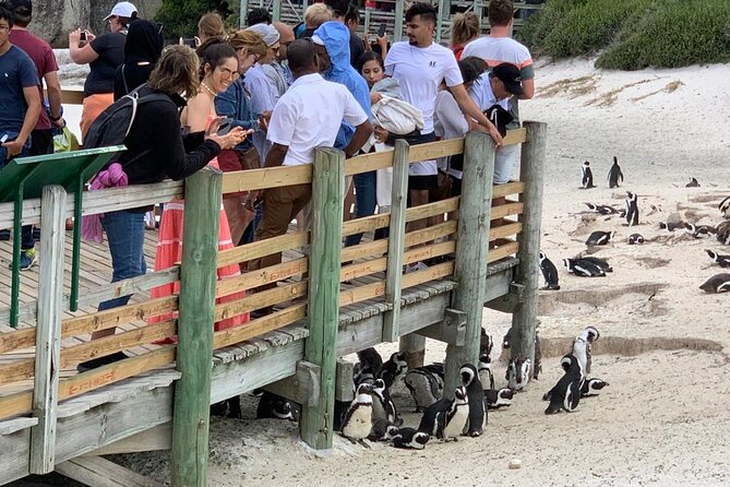 Cape Of Good Hope and Penguins viewing Private Tour - Cape of Good Hope and Cape Point