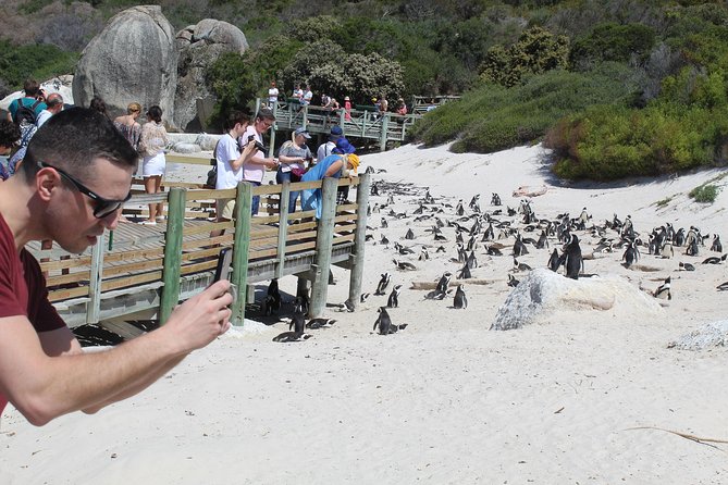 Cape Of Good Hope Bo-Kaap Penguins Full Day tour From Cape Town - Bo-Kaap and Camps Bay open the route
