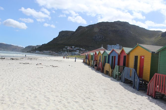 Cape Of Good Hope Bo-Kaap Penguins Full Day tour From Cape Town - Cape Point and the old lighthouse