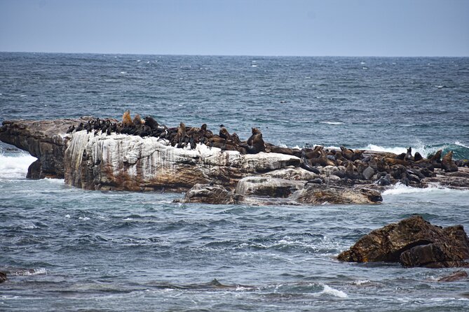 Cape of Good Hope & Boulder Penguins Full-Day Tour from Cape Town - Hout Bay gives you the day’s first real choice