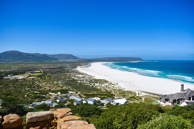 Cape of Good Hope & Boulder Penguins Full-Day Tour from Cape Town - Boulders Beach puts African penguins up close
