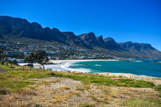 Cape of Good Hope & Boulder Penguins Full-Day Tour from Cape Town - Bo-Kaap and the city’s Atlantic edge