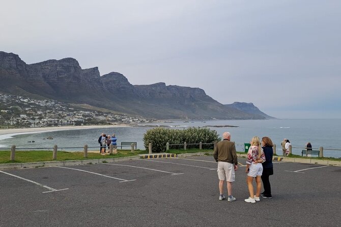Cape of Good Hope-Cape Point & Penguins from Cape Town - Chapmans Peak Drive and the best road views