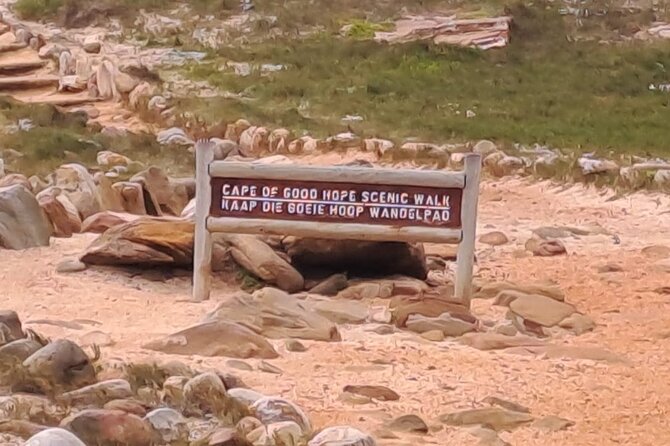 Cape of Good Hope-Cape Point & Penguins from Cape Town - Maidens Cove and the Atlantic seaboard