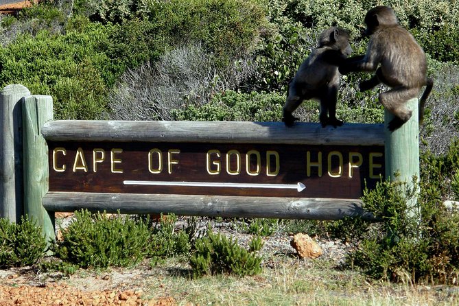 Cape of Good Hope, Cape Point & Penguins Private Morning Tour - Boulders Beach is your penguin stop
