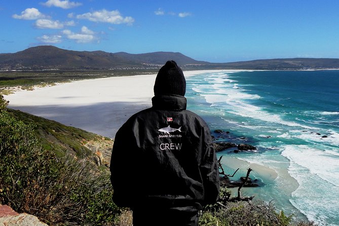 Cape of Good Hope, Cape Point & Penguins Private Morning Tour - From Cape Town’s polished coast to the peninsula
