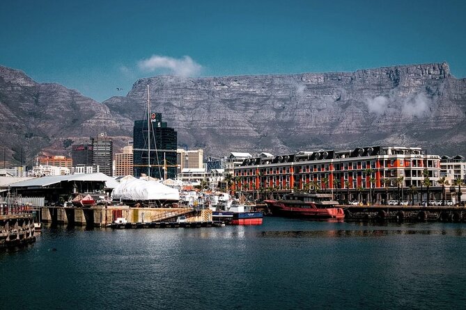 Cape of Good Hope-Cape Point - Penguins Private Tour Cape Town - A full Cape Peninsula day without the planning burden