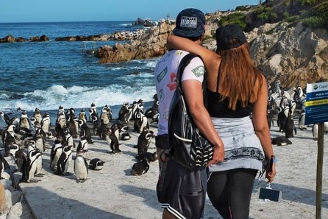 Cape of Good Hope-Cape Point - Penguins Private Tour Cape Town - What the private format adds